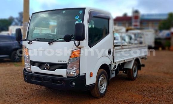 Oofamaa Nissan Almera Tino Other Makiinaa iti Bura keessatti Northeast Kenya keessatti Oofamaa Nissan Almera Tino Other Makiinaa iti Bura keessatti Northeast Kenya keessatti