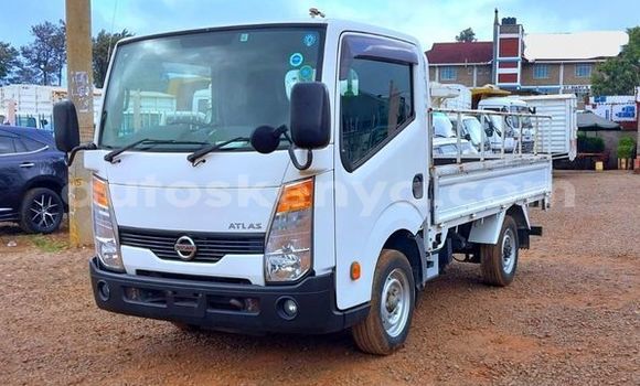 Oofamaa Nissan Almera Tino Other Makiinaa iti Bura keessatti Northeast Kenya keessatti Oofamaa Nissan Almera Tino Other Makiinaa iti Bura keessatti Northeast Kenya keessatti