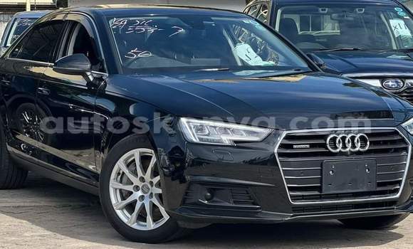 Buy Import Audi A4 Black Car in Mombasa in Coastal Kenya Buy Import Audi A4 Black Car in Mombasa in Coastal Kenya