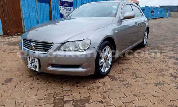 Nunua Ilio tumika Toyota Mark X Nyingine Gari ndani ya Bura nchini Kaskazini Mashariki mwa Kenya Nunua Ilio tumika Toyota Mark X Nyingine Gari ndani ya Bura nchini Kaskazini Mashariki mwa Kenya