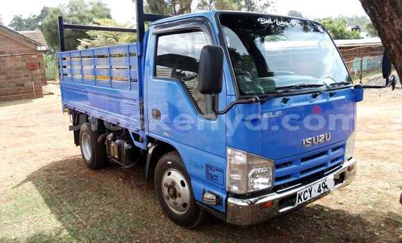 Buy Used Isuzu Elf Blue Truck in Bura in Northeast Kenya Buy Used Isuzu Elf Blue Truck in Bura in Northeast Kenya