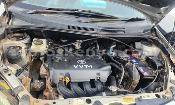 Buy Used Toyota IST Other Car in Bungoma in West Kenya Buy Used Toyota IST Other Car in Bungoma in West Kenya