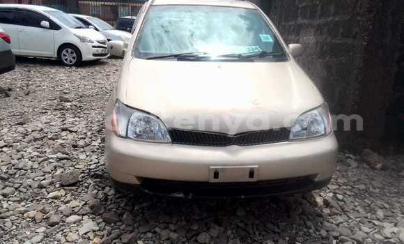 Buy Used Toyota Platz Other Car in Bura in Northeast Kenya Buy Used Toyota Platz Other Car in Bura in Northeast Kenya
