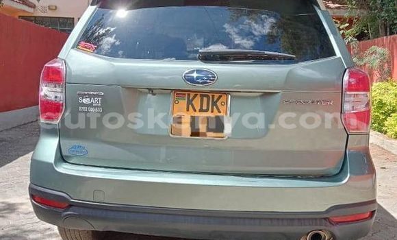 Buy Used Subaru Forester Other Car in Bura in Northeast Kenya Buy Used Subaru Forester Other Car in Bura in Northeast Kenya