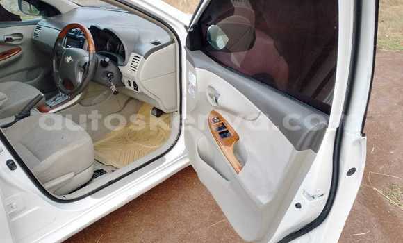 Buy Used Toyota Axio White Car in Bomet in Rift Valley Buy Used Toyota Axio White Car in Bomet in Rift Valley