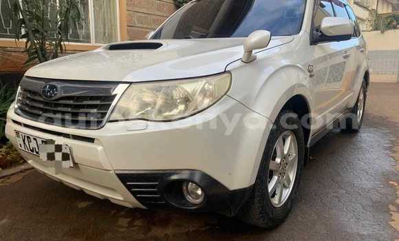 Oofamaa Subaru Forester White Makiinaa iti Busia keessatti West Kenya keessatti Oofamaa Subaru Forester White Makiinaa iti Busia keessatti West Kenya keessatti
