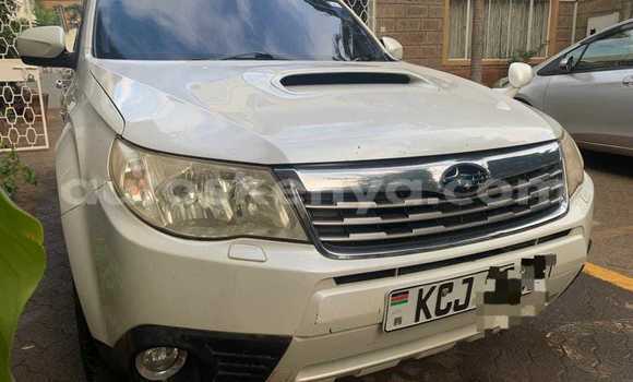 Buy Used Subaru Forester White Car in Busia in West Kenya Buy Used Subaru Forester White Car in Busia in West Kenya