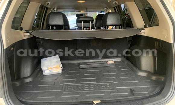 Buy Used Subaru Forester White Car in Busia in West Kenya Buy Used Subaru Forester White Car in Busia in West Kenya