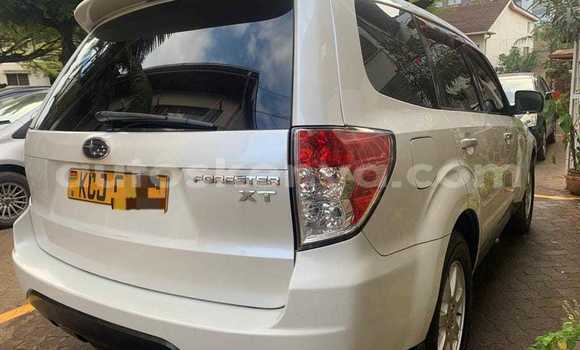 Buy Used Subaru Forester White Car in Busia in West Kenya Buy Used Subaru Forester White Car in Busia in West Kenya