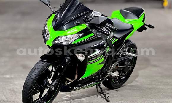 Oofamaa Kawasaki Ninja Green Doqdoqqee iti Nairobi keessatti Nairobi keessatti Oofamaa Kawasaki Ninja Green Doqdoqqee iti Nairobi keessatti Nairobi keessatti