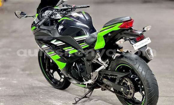 Oofamaa Kawasaki Ninja Green Doqdoqqee iti Nairobi keessatti Nairobi keessatti Oofamaa Kawasaki Ninja Green Doqdoqqee iti Nairobi keessatti Nairobi keessatti