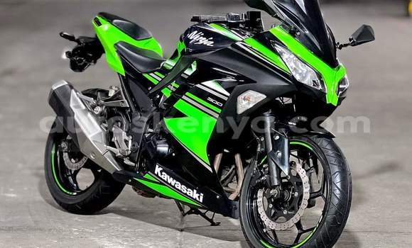 Oofamaa Kawasaki Ninja Green Doqdoqqee iti Nairobi keessatti Nairobi keessatti Oofamaa Kawasaki Ninja Green Doqdoqqee iti Nairobi keessatti Nairobi keessatti
