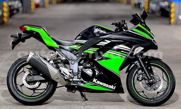 Oofamaa Kawasaki Ninja Green Doqdoqqee iti Nairobi keessatti Nairobi keessatti Oofamaa Kawasaki Ninja Green Doqdoqqee iti Nairobi keessatti Nairobi keessatti