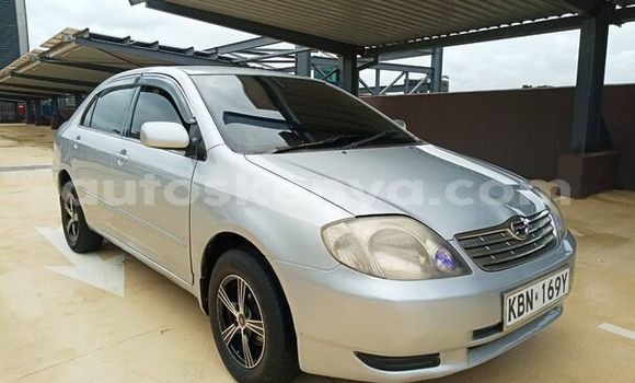 Nunua Ilio tumika Toyota Corolla Fedha Gari ndani ya Machakos nchini Nairobi Nunua Ilio tumika Toyota Corolla Fedha Gari ndani ya Machakos nchini Nairobi