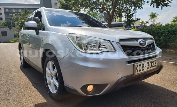 Buy Used Subaru Forester Other Car in Bute in Northeast Kenya Buy Used Subaru Forester Other Car in Bute in Northeast Kenya