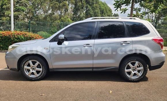 Buy Used Subaru Forester Other Car in Bute in Northeast Kenya Buy Used Subaru Forester Other Car in Bute in Northeast Kenya
