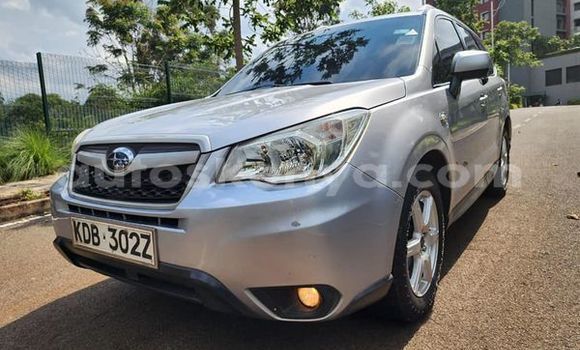 Buy Used Subaru Forester Other Car in Bute in Northeast Kenya Buy Used Subaru Forester Other Car in Bute in Northeast Kenya