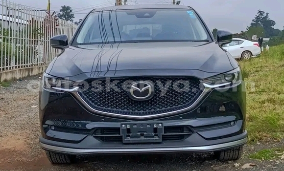Buy Used Mazda CX-5 Other Car in Nairobi in Nairobi Buy Used Mazda CX-5 Other Car in Nairobi in Nairobi