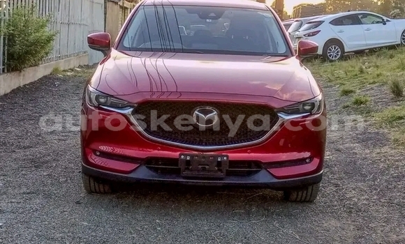Buy Used Mazda CX-5 Red Car in Nairobi in Nairobi Buy Used Mazda CX-5 Red Car in Nairobi in Nairobi