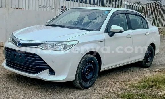 Buy Used Toyota Axio Other Car in Nairobi in Nairobi Buy Used Toyota Axio Other Car in Nairobi in Nairobi