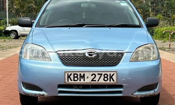 Oofamaa Toyota Runx Blue Makiinaa iti Changamwe keessatti Coast keessatti