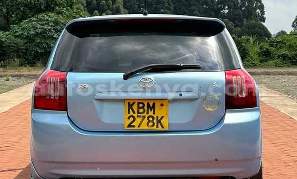 Buy Used Toyota Runx Blue Car in Changamwe in Coast Buy Used Toyota Runx Blue Car in Changamwe in Coast