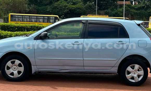 Buy Used Toyota Runx Blue Car in Changamwe in Coast Buy Used Toyota Runx Blue Car in Changamwe in Coast