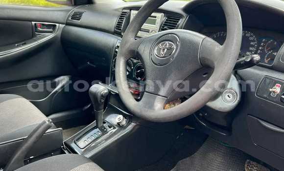 Buy Used Toyota Runx Blue Car in Changamwe in Coast Buy Used Toyota Runx Blue Car in Changamwe in Coast