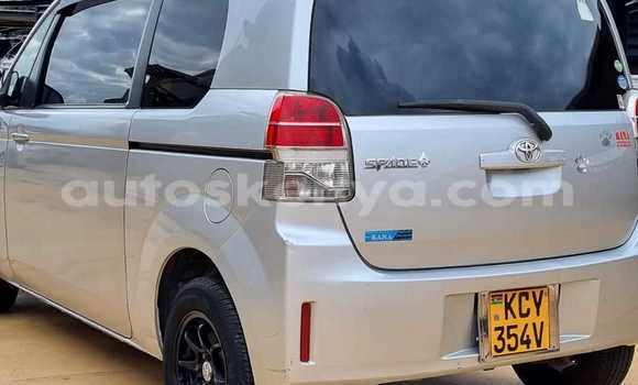 Buy Used Toyota Spade Other Car in Bute in Northeast Kenya Buy Used Toyota Spade Other Car in Bute in Northeast Kenya