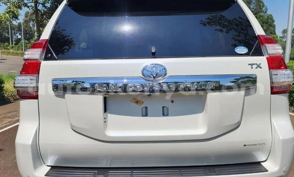Buy Used Toyota Prado White Car in Bute in Northeast Kenya Buy Used Toyota Prado White Car in Bute in Northeast Kenya