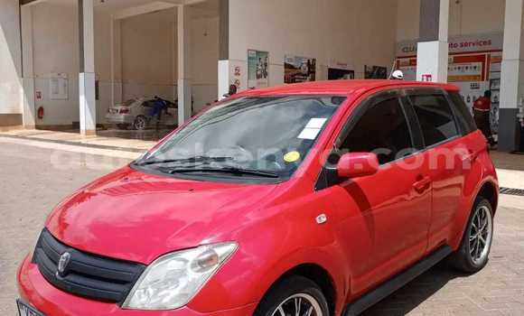 Buy Used Toyota IST Red Car in Bute in Northeast Kenya Buy Used Toyota IST Red Car in Bute in Northeast Kenya