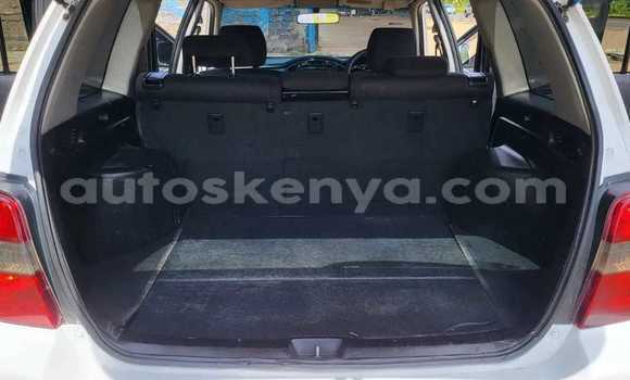 Buy Used Toyota Kluger White Car in Bute in Northeast Kenya Buy Used Toyota Kluger White Car in Bute in Northeast Kenya