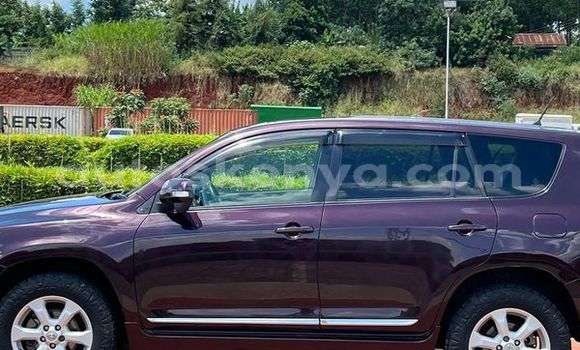 Buy Used Toyota Vanguard Other Car in Bute in Northeast Kenya
