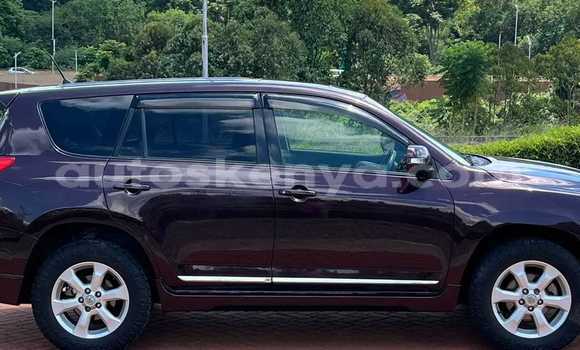 Buy Used Toyota Vanguard Other Car in Bute in Northeast Kenya Buy Used Toyota Vanguard Other Car in Bute in Northeast Kenya
