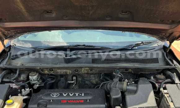 Buy Used Toyota Vanguard Other Car in Bute in Northeast Kenya Buy Used Toyota Vanguard Other Car in Bute in Northeast Kenya