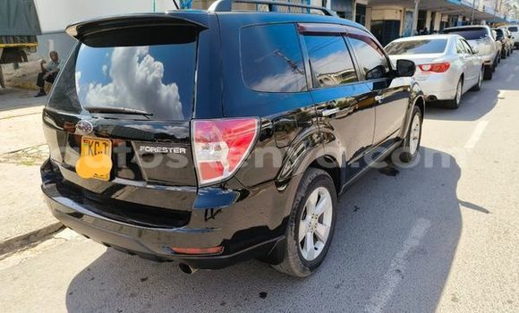 Oofamaa Subaru Forester Black Makiinaa iti Nairobi keessatti Nairobi keessatti Oofamaa Subaru Forester Black Makiinaa iti Nairobi keessatti Nairobi keessatti