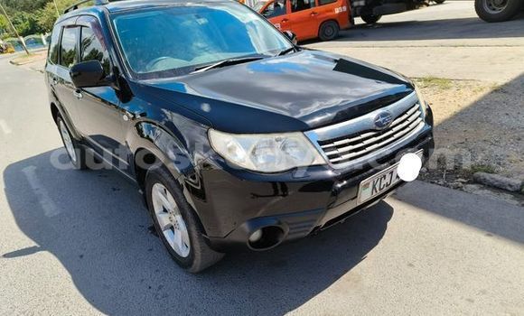 Oofamaa Subaru Forester Black Makiinaa iti Nairobi keessatti Nairobi keessatti Oofamaa Subaru Forester Black Makiinaa iti Nairobi keessatti Nairobi keessatti