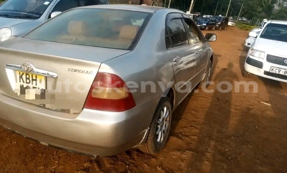 Nunua Ilio tumika Toyota Corolla Nyingine Gari ndani ya Nakuru nchini Bonde la Ufafanuzi Nunua Ilio tumika Toyota Corolla Nyingine Gari ndani ya Nakuru nchini Bonde la Ufafanuzi