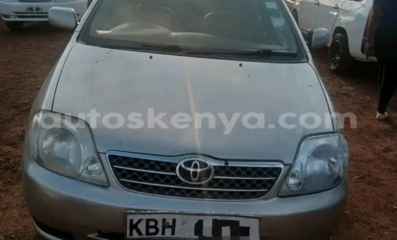 Buy Used Toyota Corolla Other Car in Nakuru in Rift Valley Buy Used Toyota Corolla Other Car in Nakuru in Rift Valley