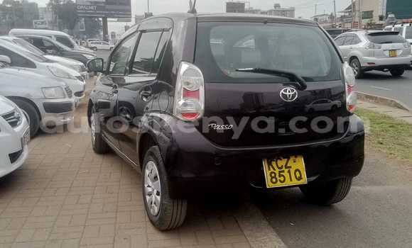 Buy Used Toyota Passo Black Car in Bute in Northeast Kenya