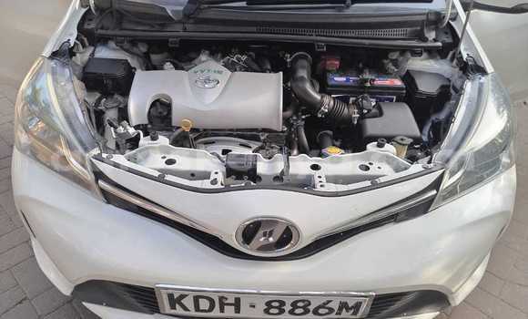 Buy Used Toyota Vitz White Car in Busia in West Kenya Buy Used Toyota Vitz White Car in Busia in West Kenya