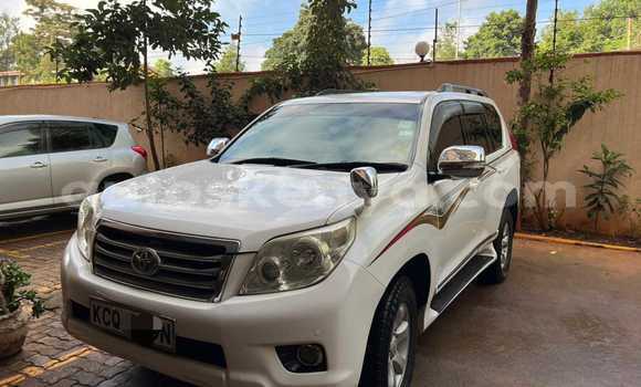 Buy Used Toyota Land Cruiser Prado White Car in Busia in West Kenya
