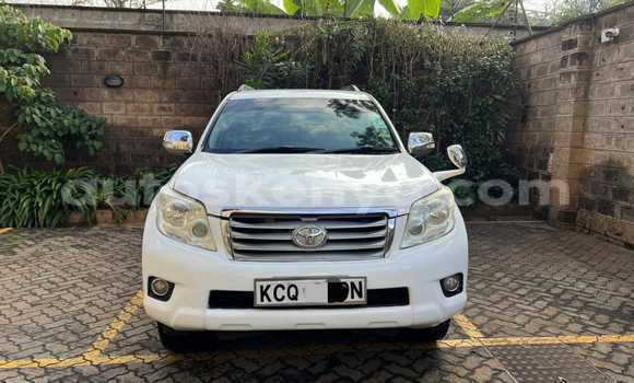 Nunua Ilio tumika Toyota Land Cruiser Prado Nyeupe Gari ndani ya Busia nchini West Kenya Nunua Ilio tumika Toyota Land Cruiser Prado Nyeupe Gari ndani ya Busia nchini West Kenya