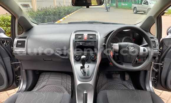 Buy Used Honda Fit Other Car in Busia in West Kenya Buy Used Honda Fit Other Car in Busia in West Kenya