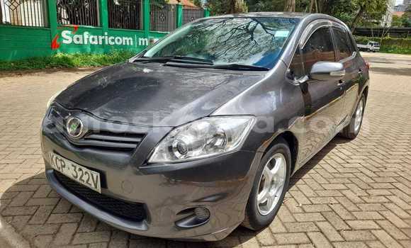 Buy Used Honda Fit Other Car in Busia in West Kenya Buy Used Honda Fit Other Car in Busia in West Kenya