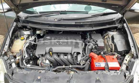 Buy Used Honda Fit Other Car in Busia in West Kenya Buy Used Honda Fit Other Car in Busia in West Kenya