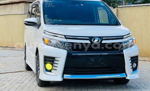 Buy Used Toyota Voxy White Car in Busia in West Kenya Buy Used Toyota Voxy White Car in Busia in West Kenya