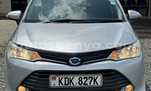 Oofamaa Toyota Fielder Other Makiinaa iti Bute keessatti Northeast Kenya keessatti