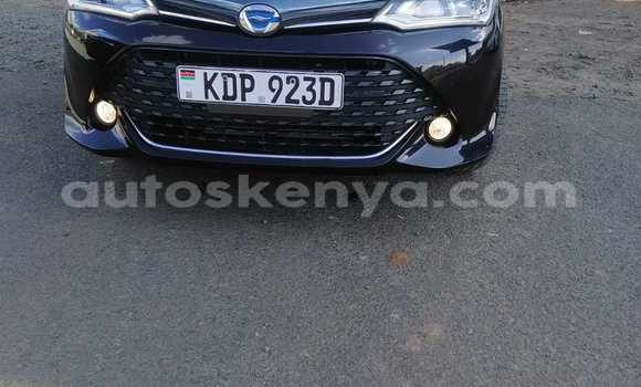 Oofamaa Toyota Fielder Black Makiinaa iti Bute keessatti Northeast Kenya keessatti