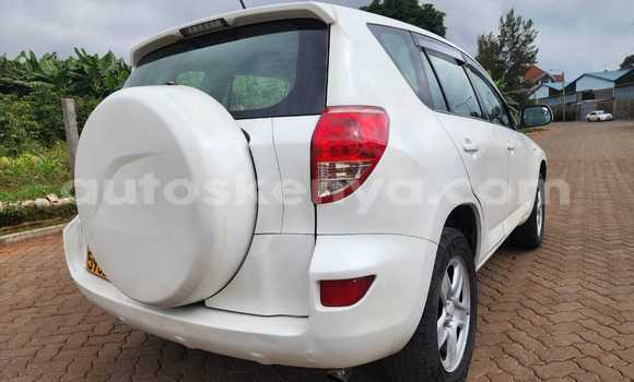 Buy Used Toyota RAV4 White Car in Busia in West Kenya Buy Used Toyota RAV4 White Car in Busia in West Kenya
